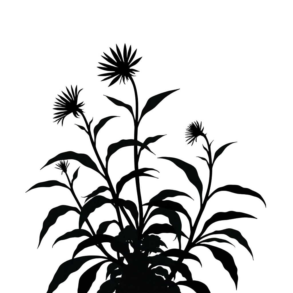 Wildflower Silhouette